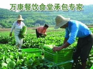 	萬康餐飲完善原材料配送鏈提倡有(yǒu)機(jī)蔬菜