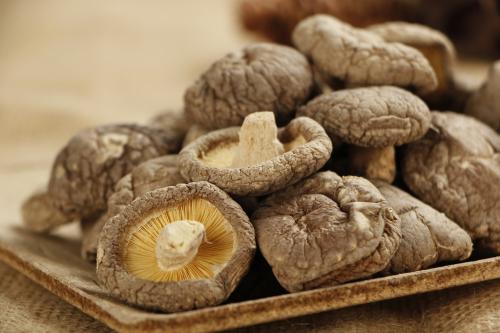 吃(chī)香菇可(kě)以預防感冒嗎(ma)?