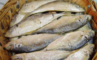 如(rú)何分(fēn)辨哪些(xiē)魚受過污染?